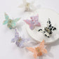 Butterfly Claw Clips