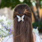 Butterfly Claw Clips