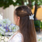 Butterfly Claw Clips