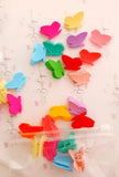 Mini Butterfly Clips - 10 pack
