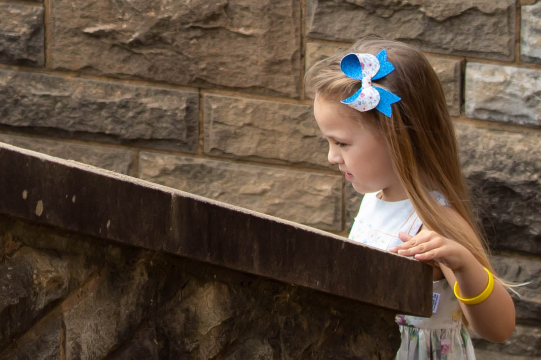 Sugar Plum Serene Bow